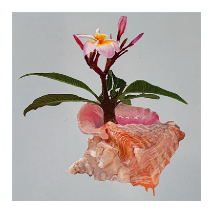 HANNAH MURRAY | 'Drifting away on a tropical breeze' | Gift Card / Recycled paper