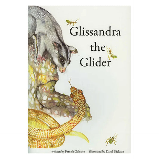 PAM GALEANO | 'Glissandra The Glider' | Illustrated Children's Book