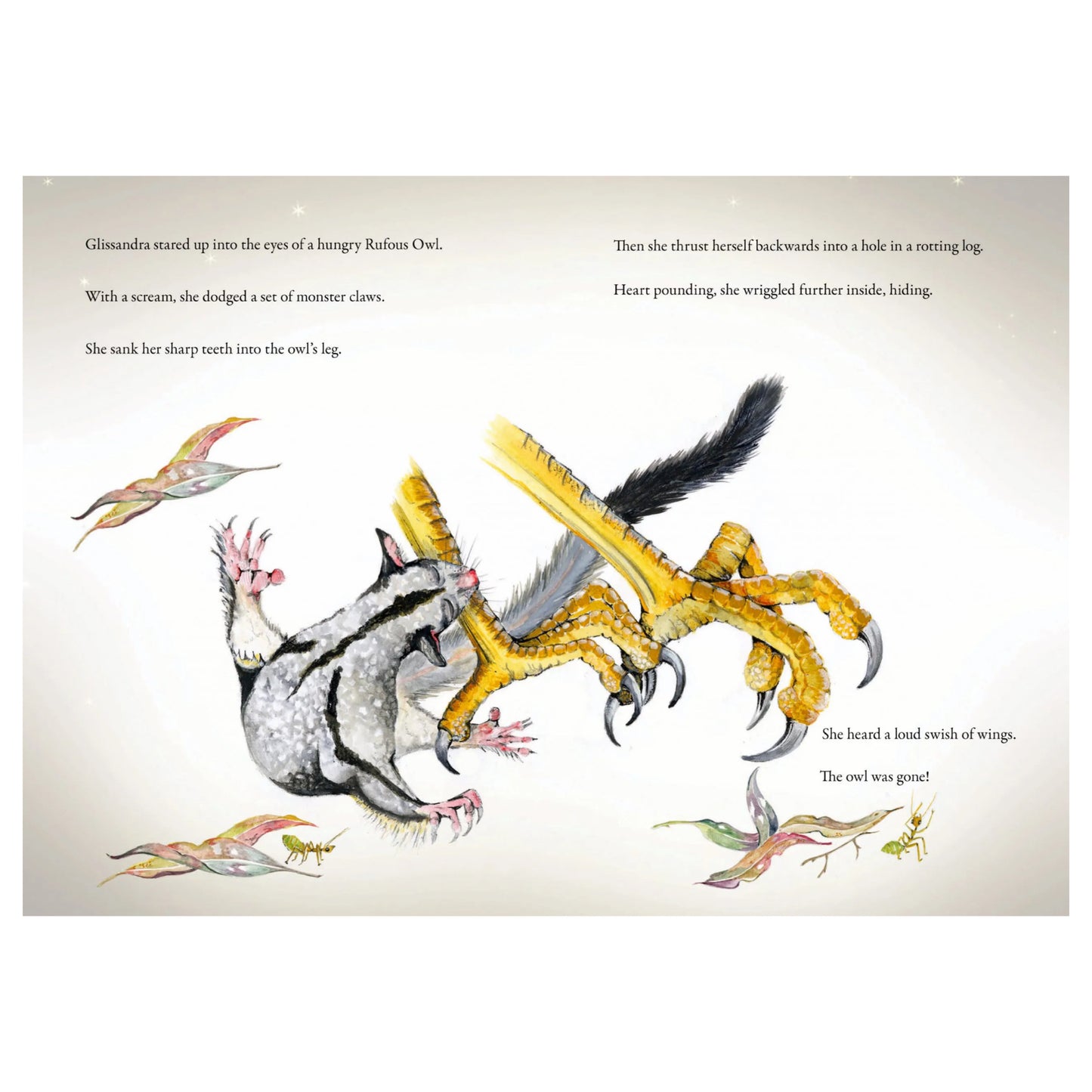 PAM GALEANO | 'Glissandra The Glider' | Illustrated Children's Book