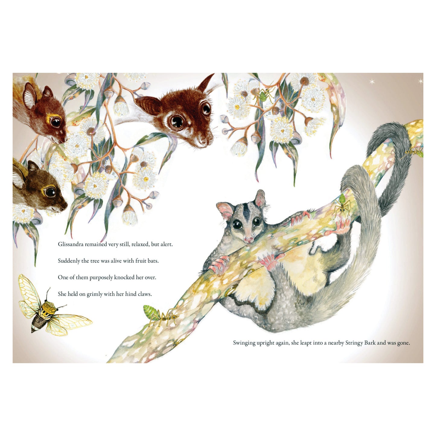 PAM GALEANO | 'Glissandra The Glider' | Illustrated Children's Book