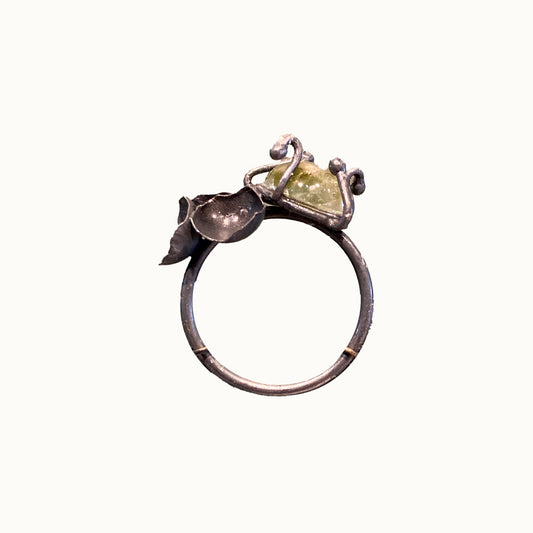 LOIS HAYES | 'Ring 3 - Rainforest Floor Secrets' | Oxidized sterling silver / natural tourmaline / lacquer