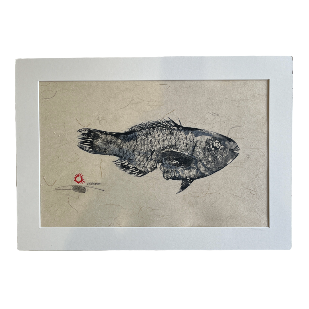 JANE DENNIS | 'Wrasse' | Gyotaku print