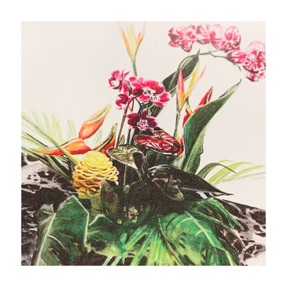 HANNAH MURRAY | 'Sea Monster' | Gift Card / Recycled paper