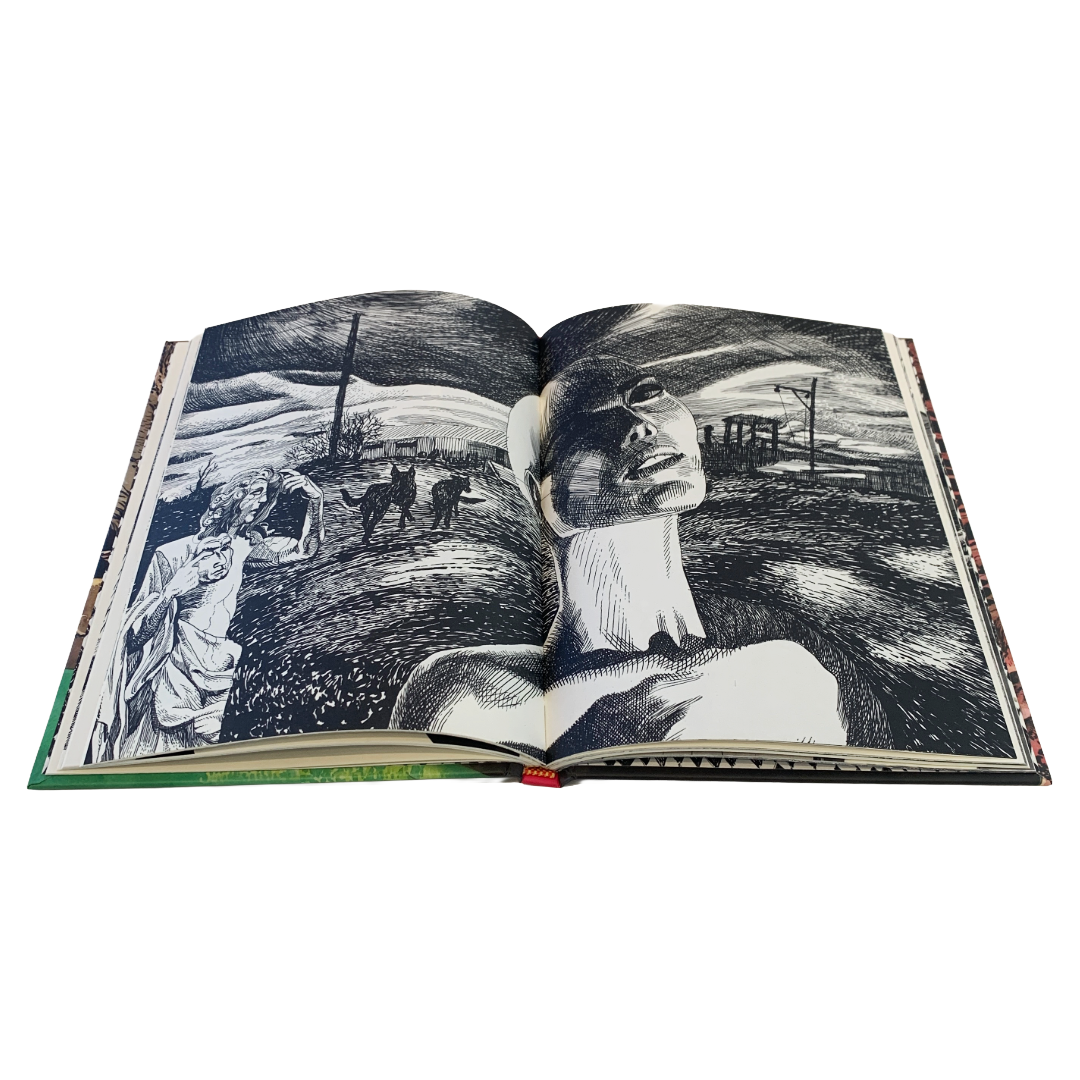 JONATHAN MCBURNIE | 'Floodland' | Illustrated book