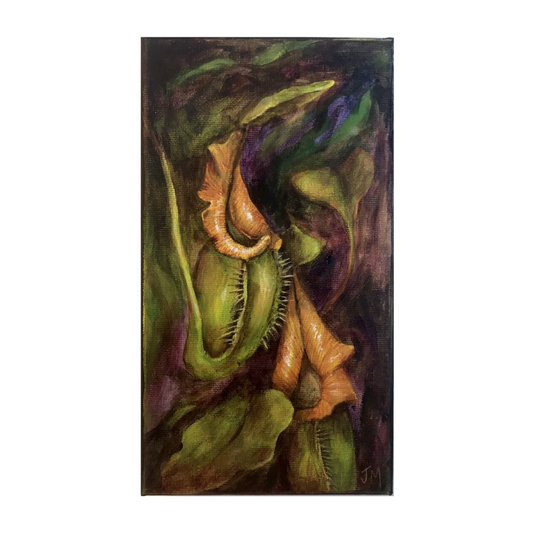 JULIE MCENERY | ‘Pitcher Plant #2' | Acrylic on canvas
