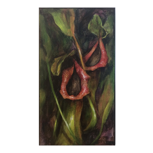 JULIE MCENERY | ‘Pitcher Plant #1’ | Acrylic on canvas
