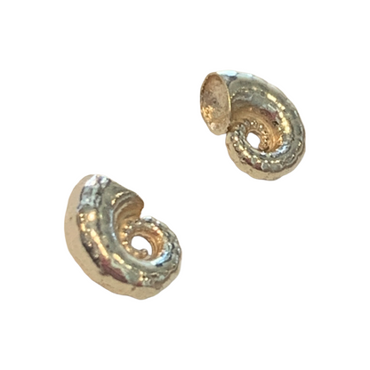 LAURA SCOTT STUDIO | Spirula Seashell Studs | 2026 | Sterling Silver