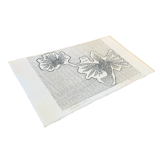 PETER B MORRISON | ‘Awgadh,Wadi II  (Lionfish)’ | Pen + Ink drawing