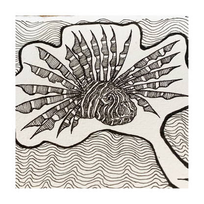 PETER B MORRISON | ‘Awgadh,Wadi II  (Lionfish)’ | Pen + Ink drawing