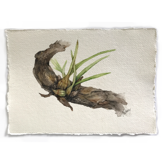 JULIE MCENERNY | 'Little Stick #69' | Little Stick Series | Watercolour drawing on handmade paper