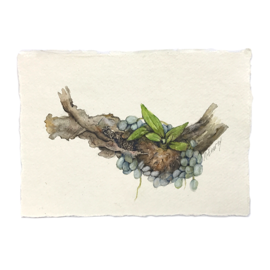 JULIE MCENERNY | 'Little Stick #72' | Little Stick Series | Watercolour drawing on handmade paper