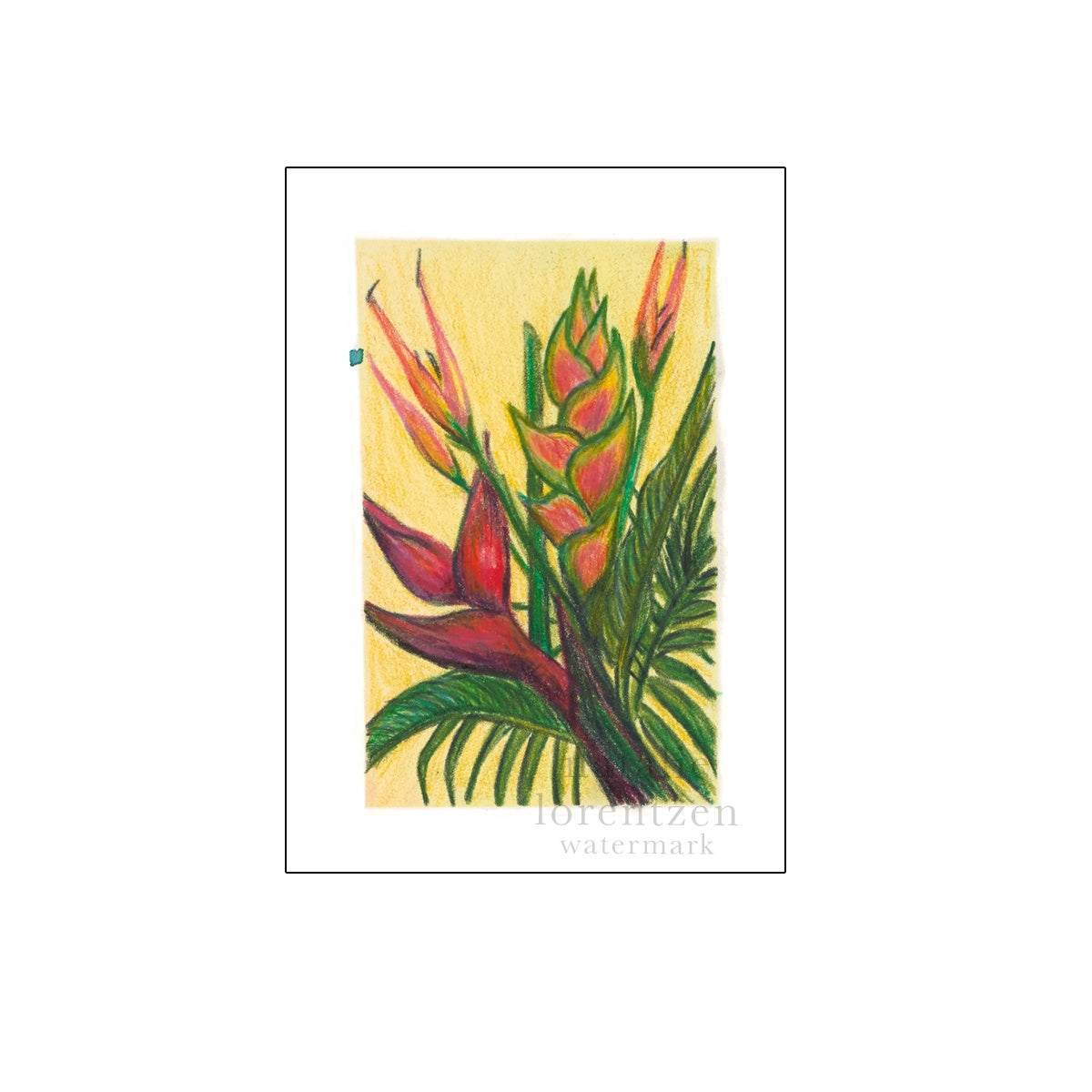 NATALIE LORENTZEN | 'Heliconias - Palm Cove' | A7 Mini Fine Art Print