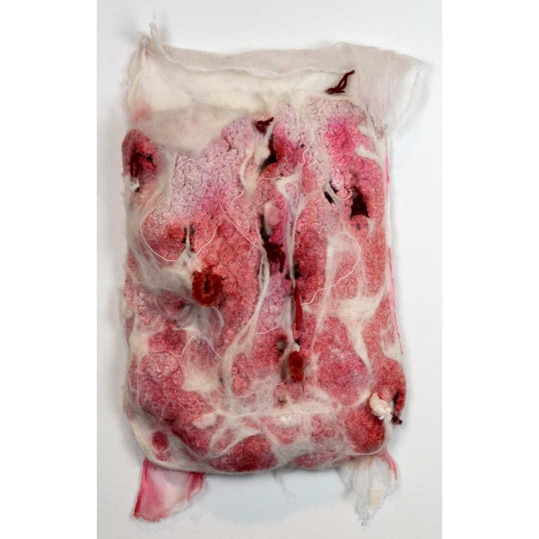 MARIANA VERDAASDONK | 'Placenta' | 2025 | wood / fibre / cotton / ink | H 600 x W 340 mm