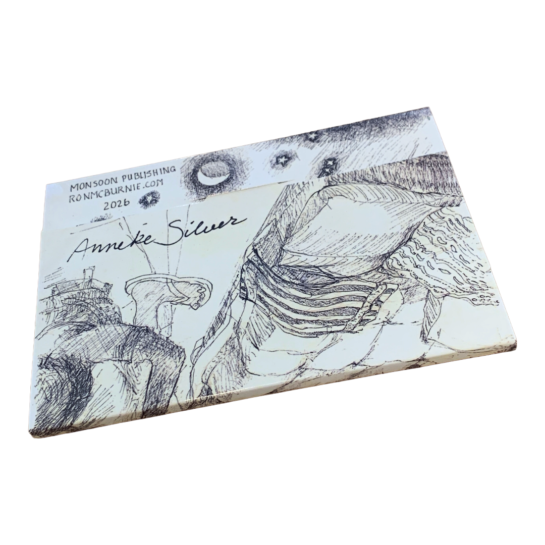 MONSOON PUBLISHING | ‘Nights to Remember’ Artist Postcard Pack | Anneke Silver | 2026 | Postcards in box