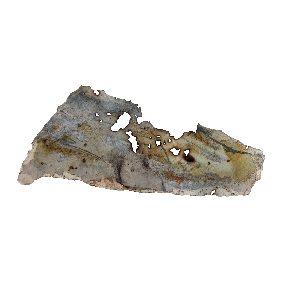 GEORGINA HUTCHINSON | ‘Scorched Escarpment – Nature's Fire Diary’ - Installation #7 | 2026 | Mixed media