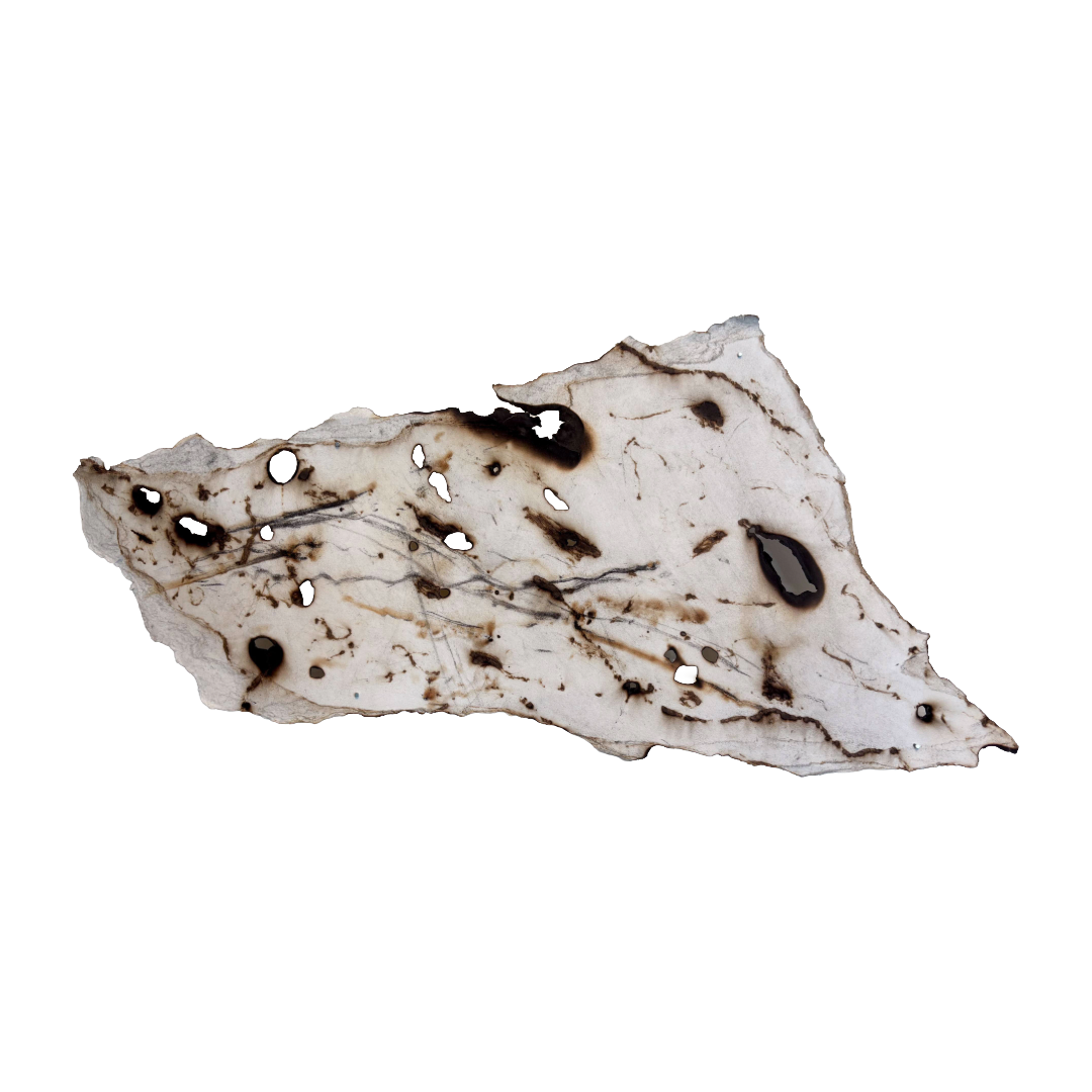 GEORGINA HUTCHINSON | ‘Scorched Escarpment – Nature's Fire Diary’ - Installation #9 | 2026 | Mixed media