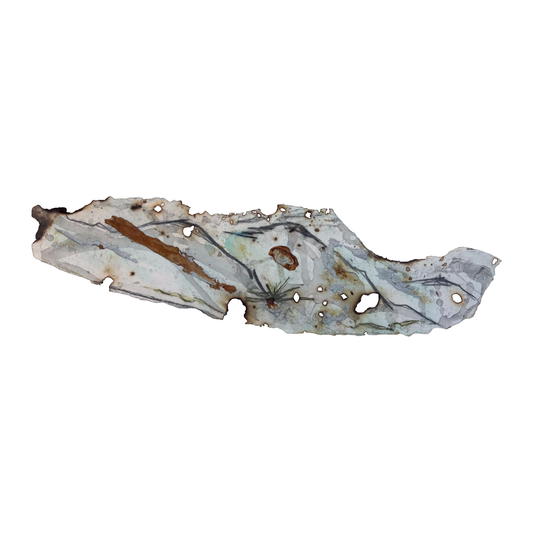 GEORGINA HUTCHINSON | ‘Scorched Escarpment – Nature's Fire Diary’ - Installation #10 | 2026 | Mixed media