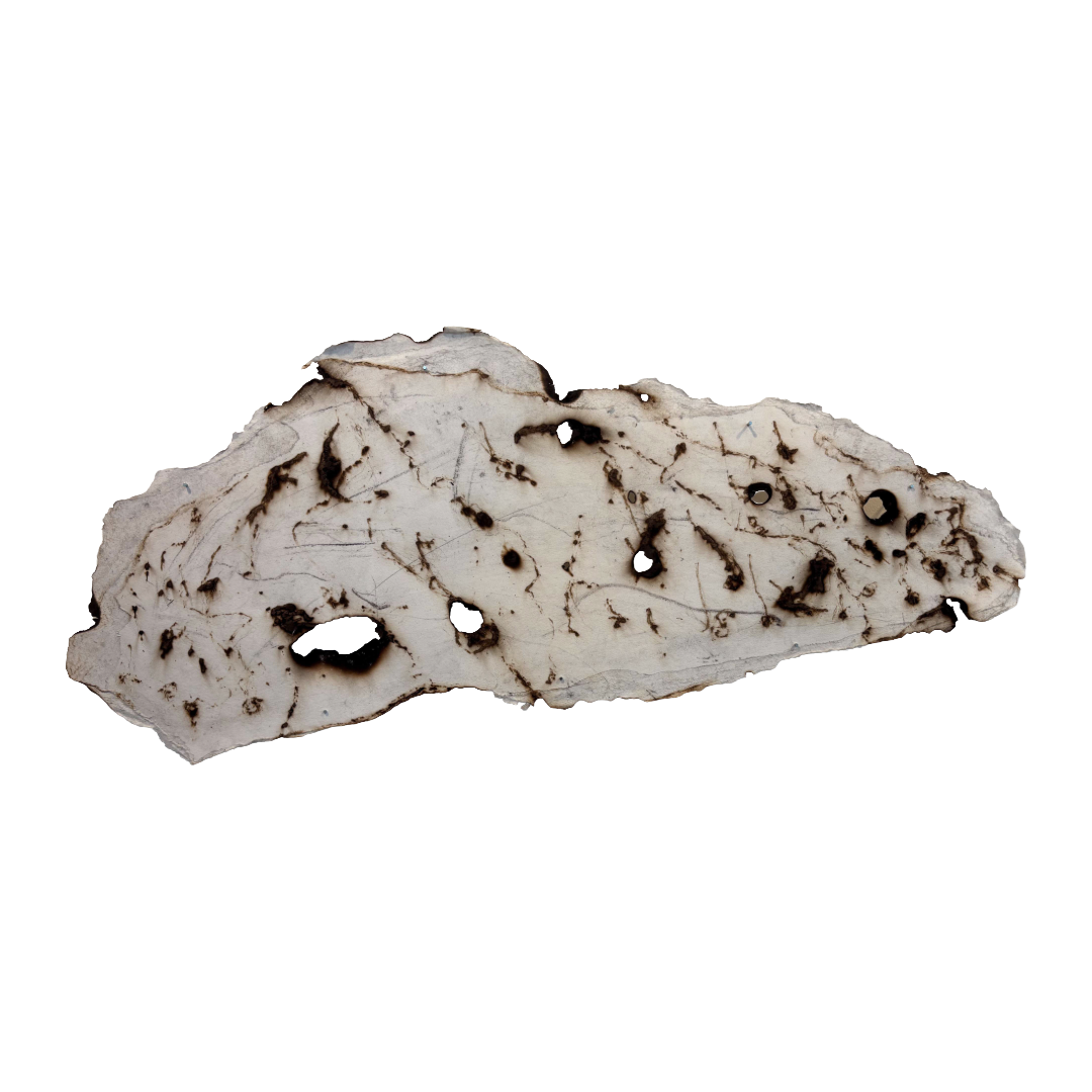 GEORGINA HUTCHINSON | ‘Scorched Escarpment – Nature's Fire Diary’ - Installation #11 | 2026 | Mixed media | Approx 37 (h) x 90 (w) cm
