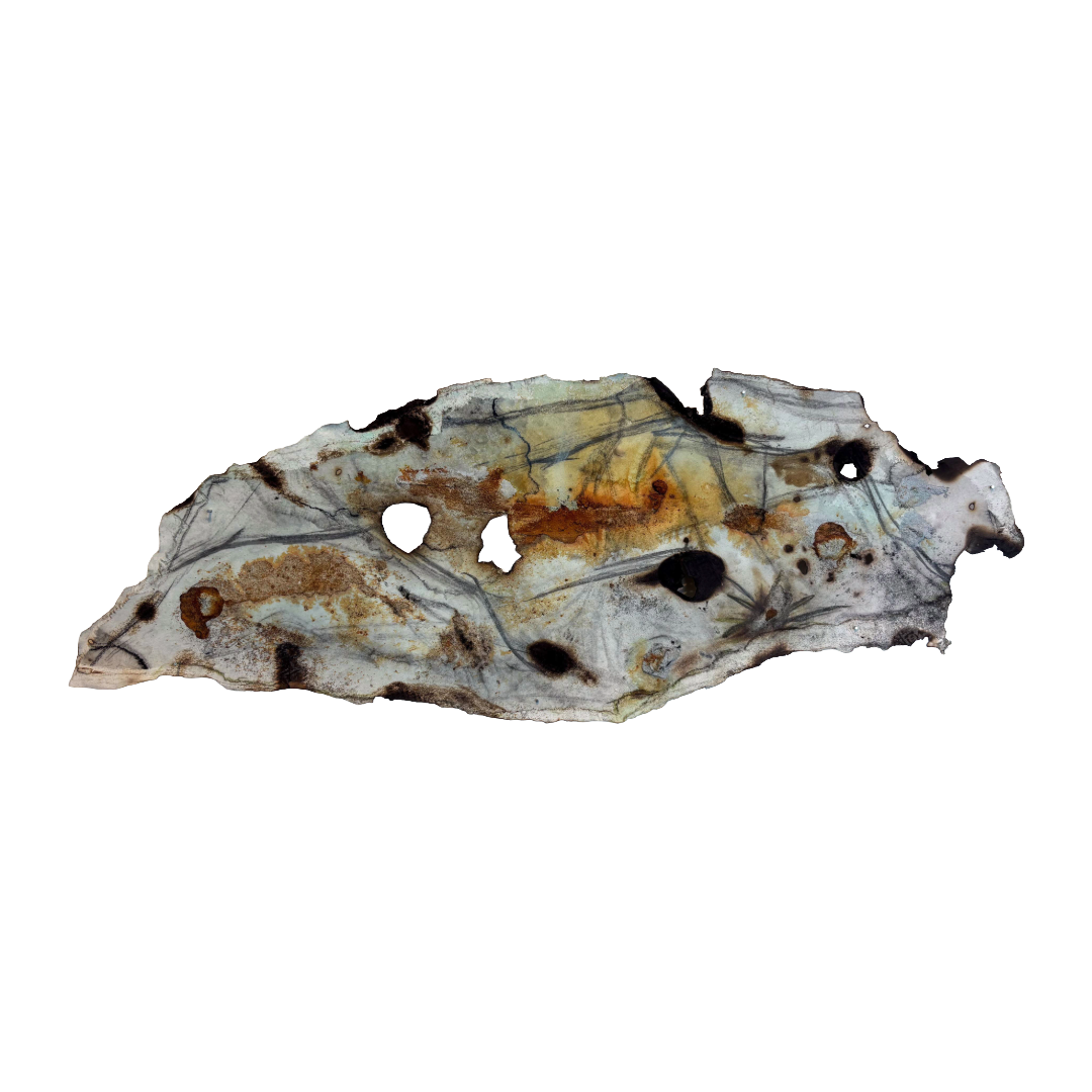 GEORGINA HUTCHINSON | ‘Scorched Escarpment – Nature's Fire Diary’ - Installation #13 | 2026 | Mixed media