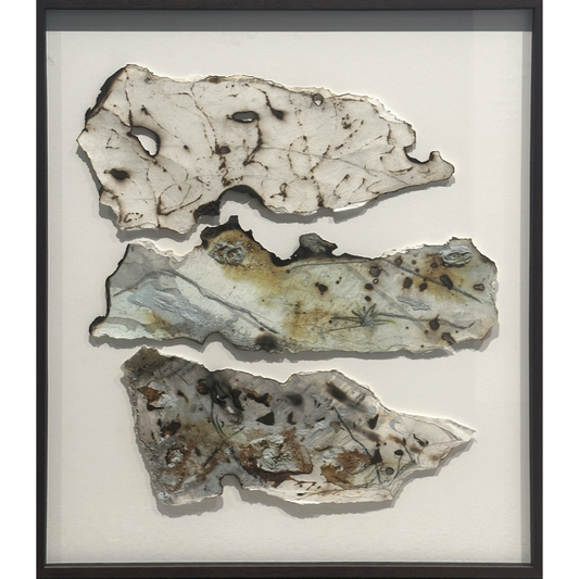 GEORGINA HUTCHINSON | ‘Scorched Escarpment – Natures Fire Diary’ 2 | 2026 | Mixed media / framed