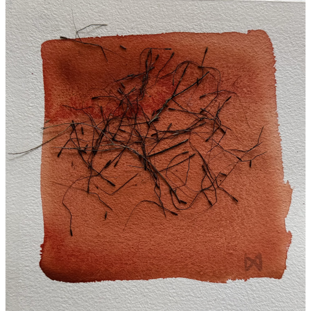 MELISSA WATERS | 'Expansion' 5 | 2026 | Mixed media