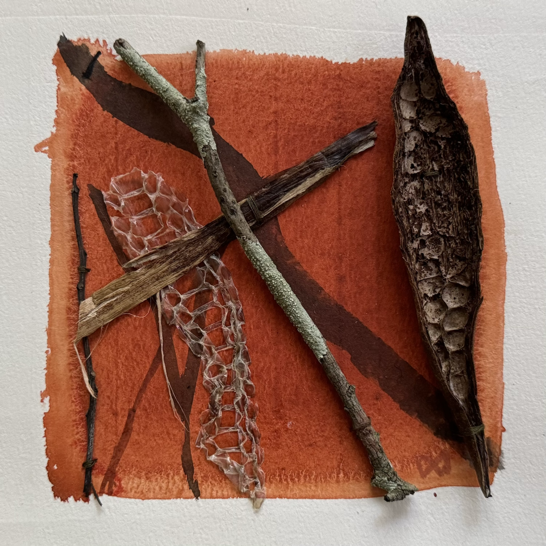 MELISSA WATERS | 'Grounded' 6 | 2026 | Mixed media