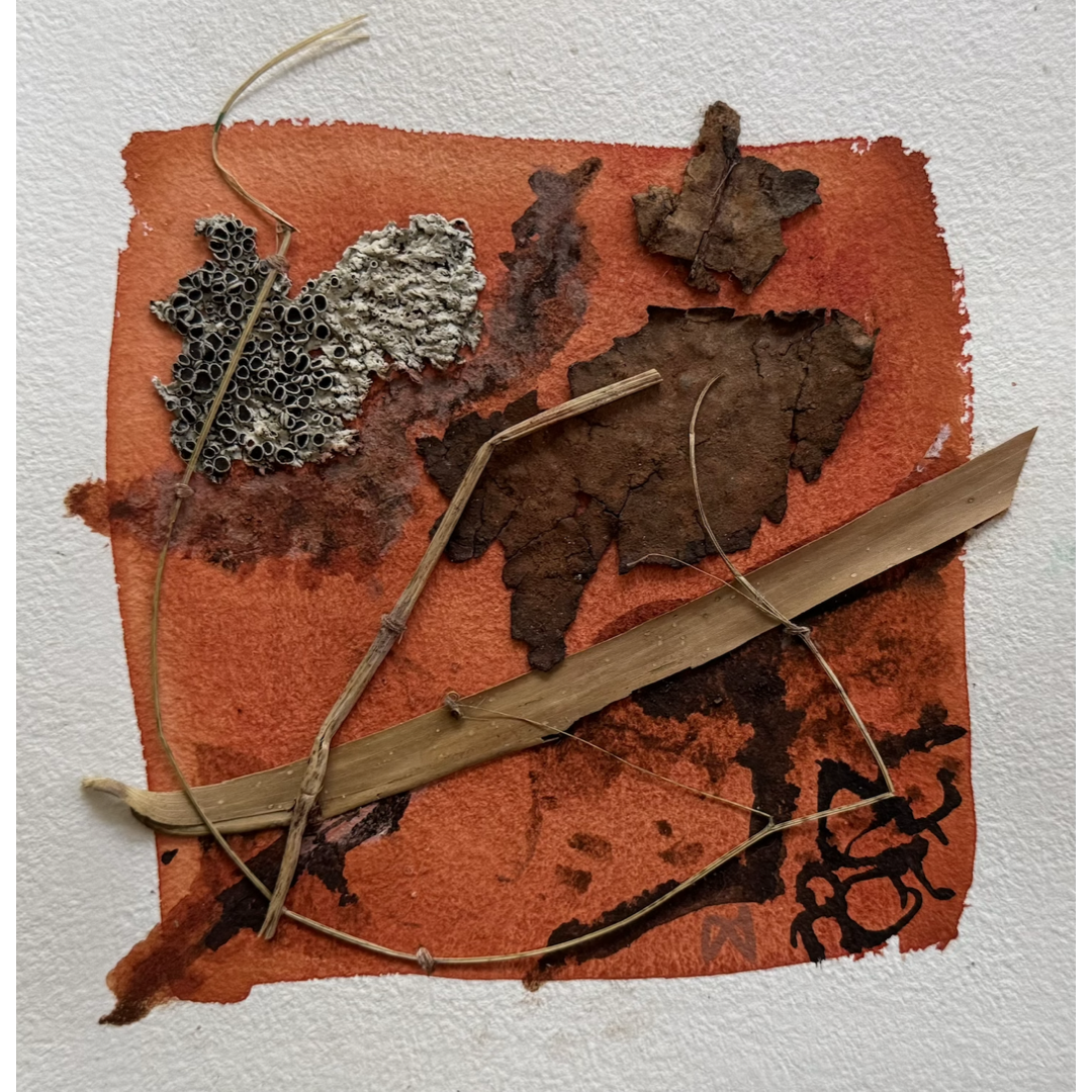 MELISSA WATERS | 'Grounded' 7 | 2026 | Mixed media