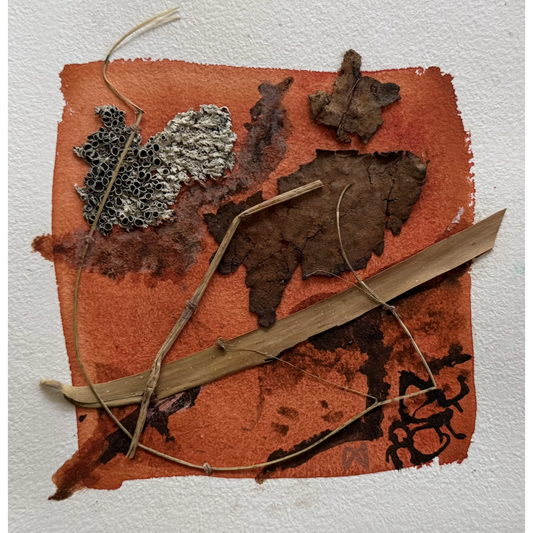 MELISSA WATERS | 'Grounded' 7 | 2026 | Mixed media