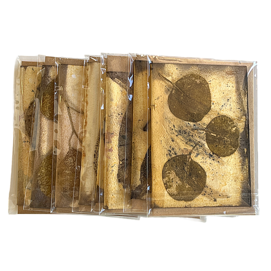 BIRDTRIBE WEARABLE ART | Native Plant Dyed Cards