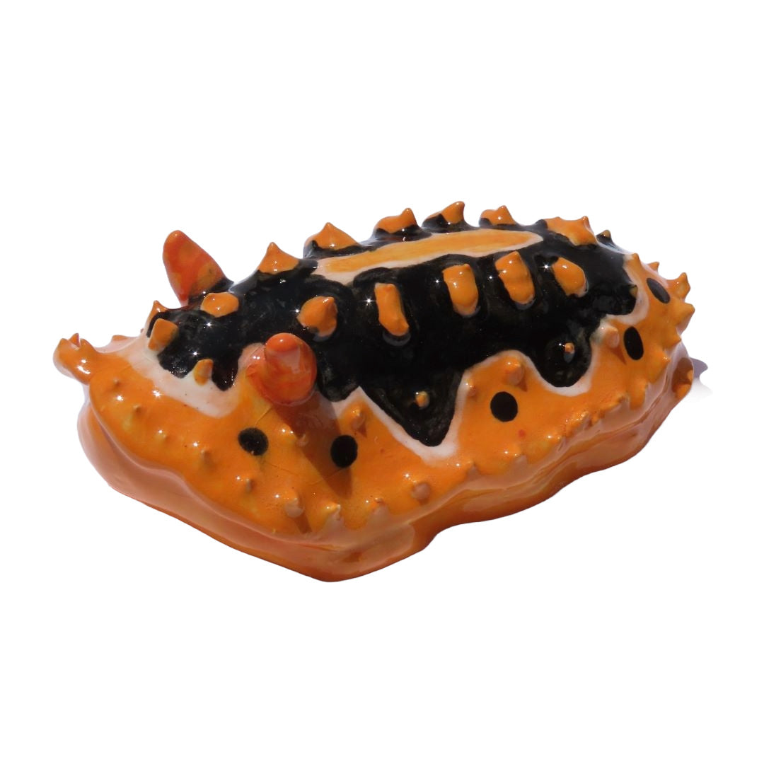 KIM GUNST | ‘Bertie - Phyllidia ocellata’ | Ceramic object