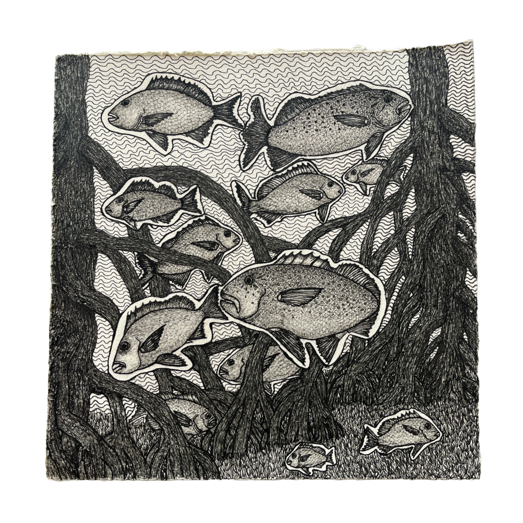 PETER B MORRISON | 'Bream and Coral Trout' | Pen + ink drawing