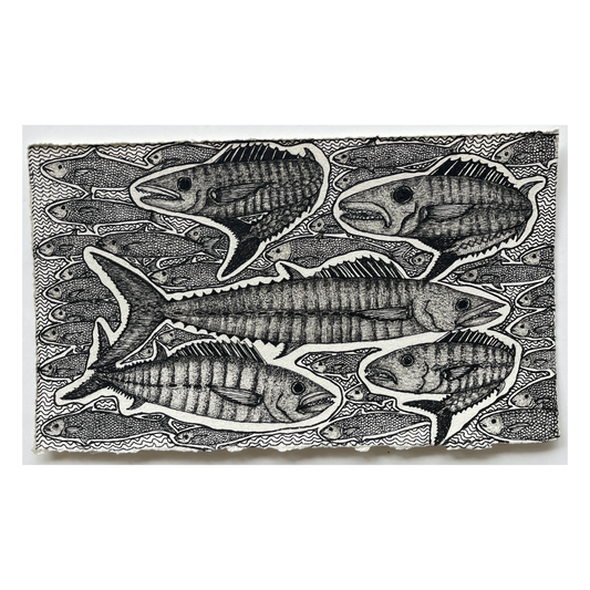 PETER B MORRISON | 'Spanish Mackerels Feeding' | 2024