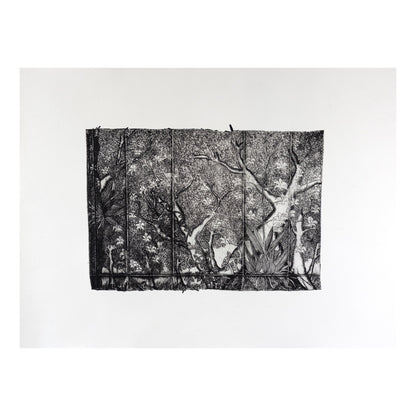 PETER B  MORRISON  | 'Cooktown Orchid' | Drypoint etching