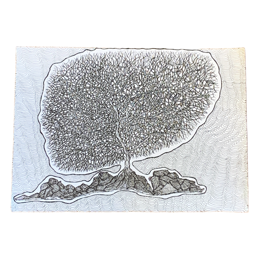PETER B MORRISON | ‘RED SEA FAN CORAL III’ | Pen + Ink drawing