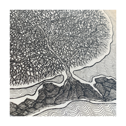 PETER B MORRISON | ‘RED SEA FAN CORAL III’ | Pen + Ink drawing