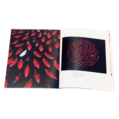 SHANNON BRETT | 'Rite of Passage' | Exhibition Catalogue
