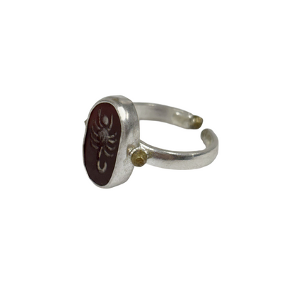 ARTIZ | 'Carved Ring'- Scorpion | amber oval stone | silver + bronze | hand carved surface