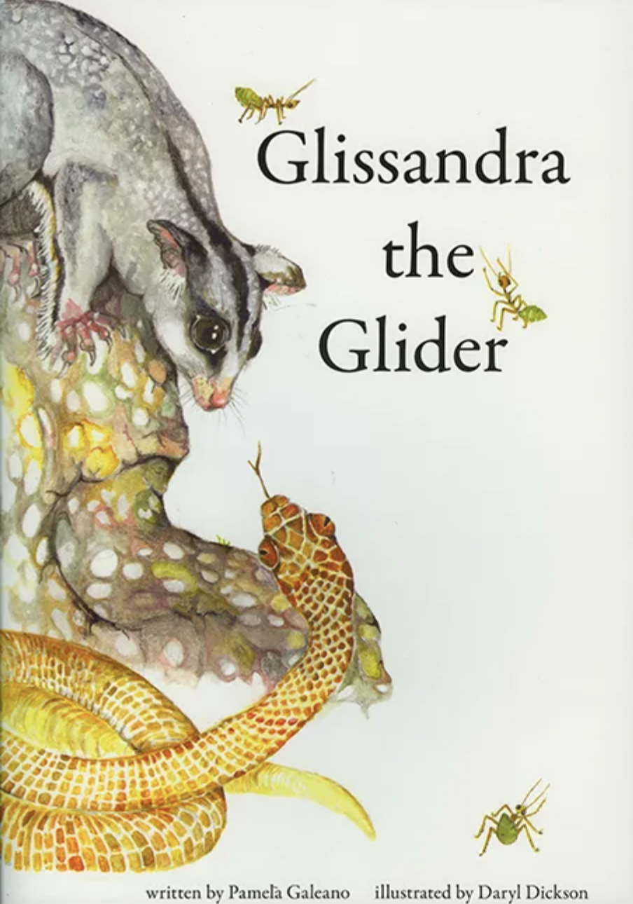 PAM GALEANO | 'Glissandra The Glider' | Illustrated Children's Book