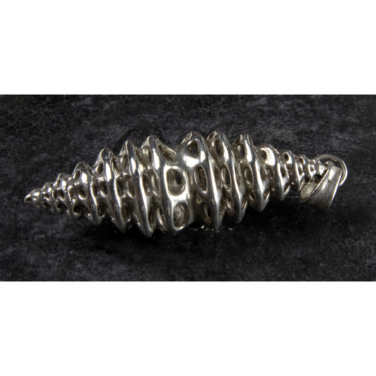 TETSUYA TABATA | Shell | 2024 | silver | H45 x W10 x D10