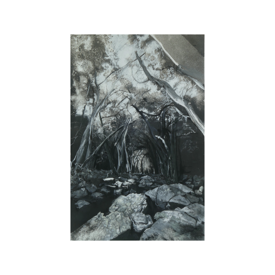 ROBYN BIVIANO | ‘Enroute: Hartleys Creek’ | Dark field monotype / charcoal / pastel