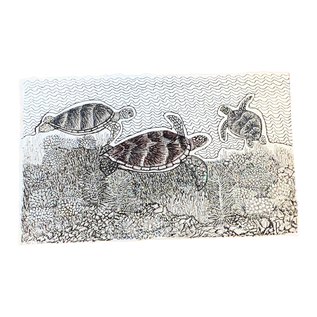 PETER B MORRISON | ‘Turtle Feeding’ | Pen + Ink drawing