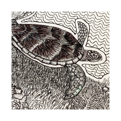 PETER B MORRISON | ‘Turtle Feeding’ | Pen + Ink drawing
