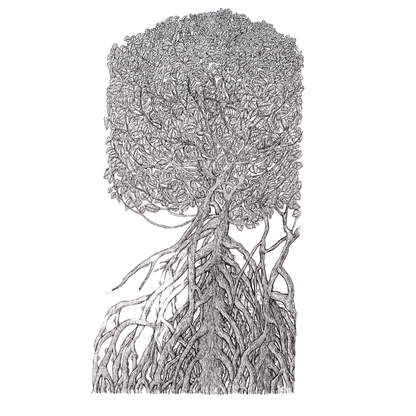 Peter B Morrison | THAG (MANGROVE, HIGH TIDE) | Pen and ink on archival paper