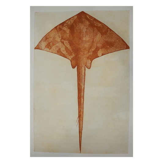 SYD BRUCE SHORTJOE | ‘Cow Tail Ray’ | 2024 | Print