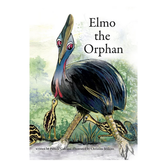 PAM GALEANO | 'Elmo The Orphan' | Illustrated Children's Book