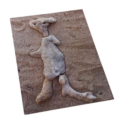 MONSOON PUBLISHING | ‘From the Beach’ Artist Postcard Pack | Ann Thomson | 2024 | Postcards in box