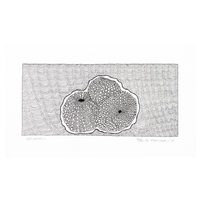 PETER B MORRISON | 'Sea Urchin IV' Drawing | Pen and ink on archival paper