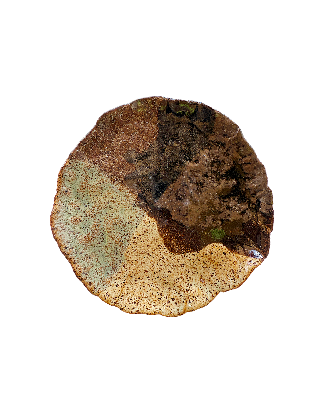 KAT HALL | 'Daintree Cup and Saucer ’ | Ceramic Dish