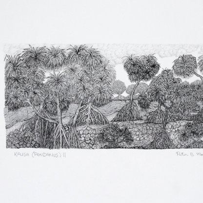 PETER B MORRISON | 'Kausa (Pandanus) II' Drawing | Pen and ink on archival paper