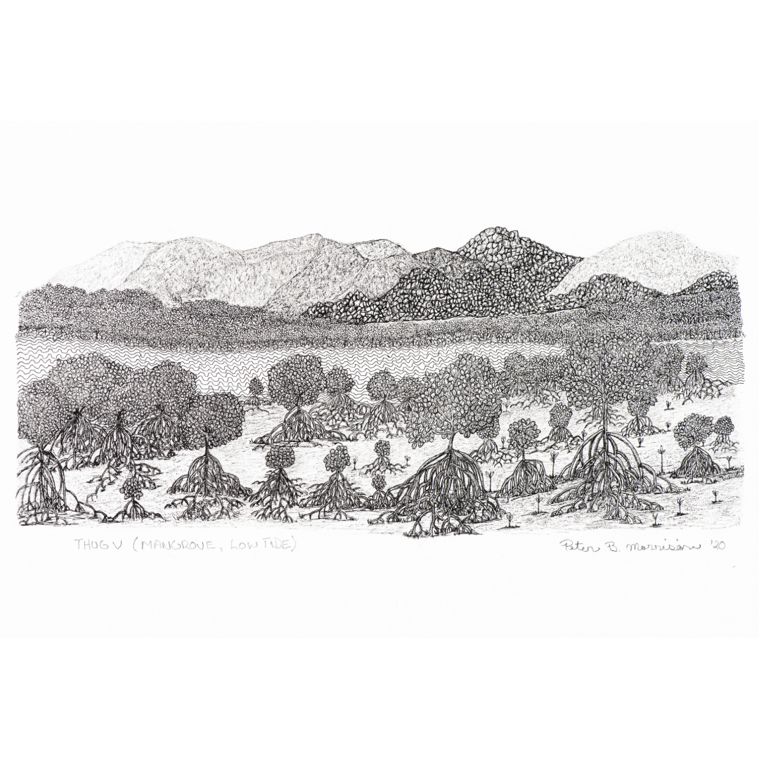 PETER B MORRISON | 'Thag V' (Mangrove, Low Tide) Drawing | Pen and ink on archival paper. Framed